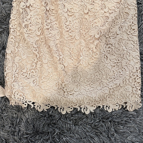 Adrianna Papell Strapless Cream Lace Dress - Picture 6 of 7